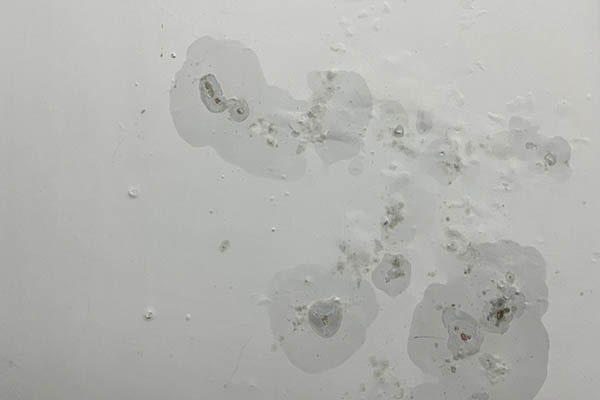 Travaux de recherche de fuite d’eau Roquebrune-sur-Argens